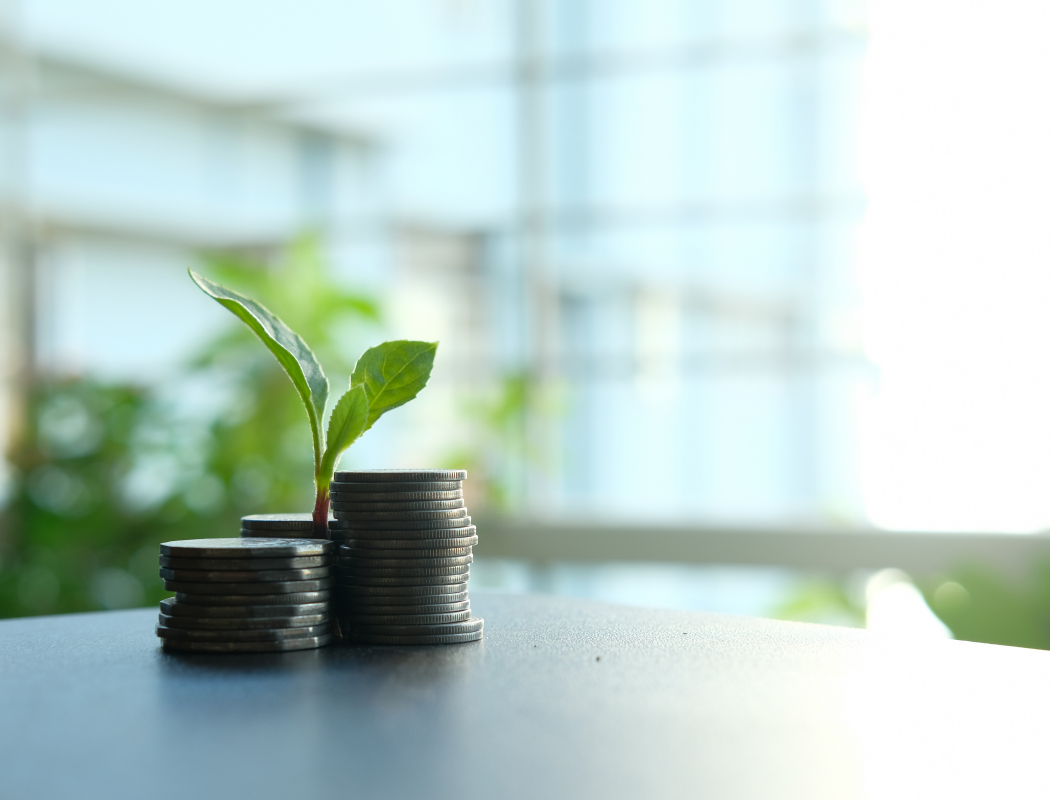 Investir la trésorerie d’une société à l’IR : quels placements possibles et quels impacts fiscaux ?