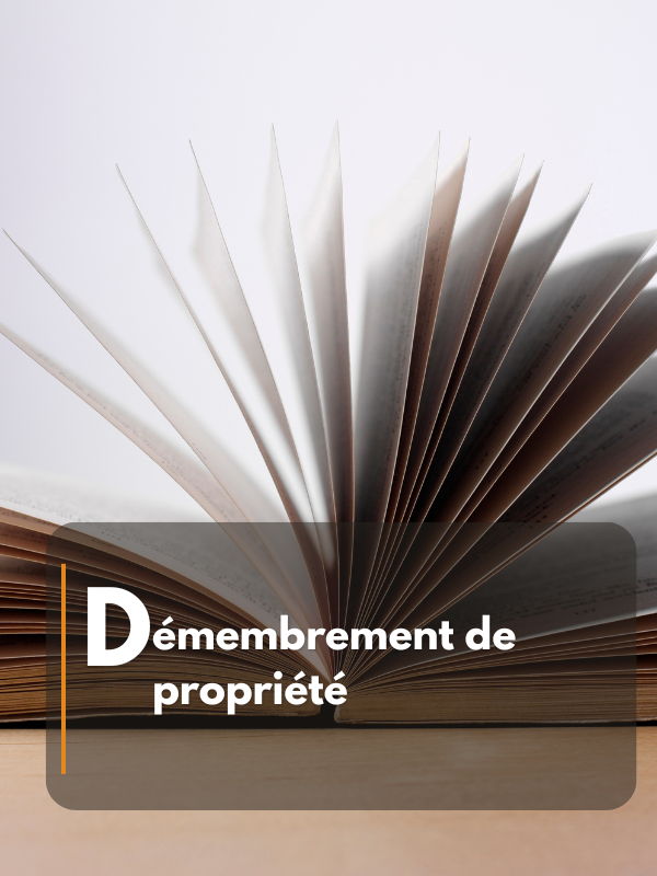 Démembrement de propriété