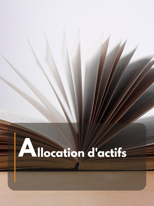 Allocation d'actifs