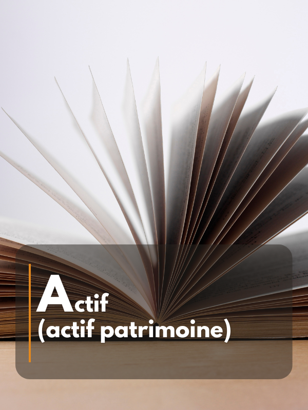 Actif (actif patrimoine)