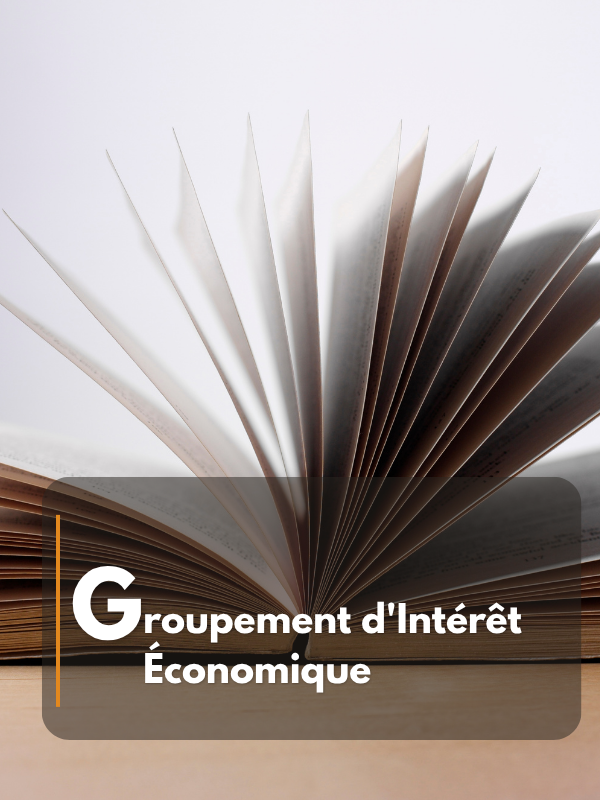 Groupement d'Intérêt Économique