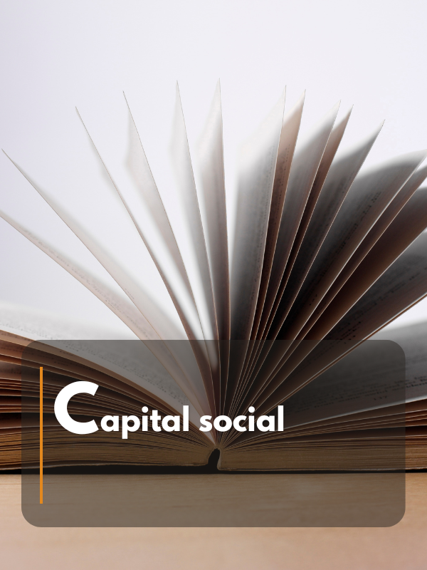 Capital social
