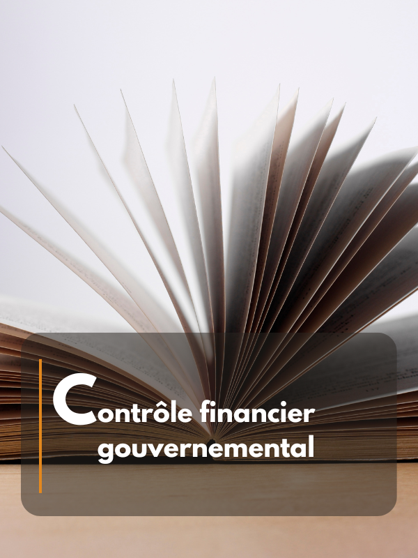 Contrôle financier gouvernemental