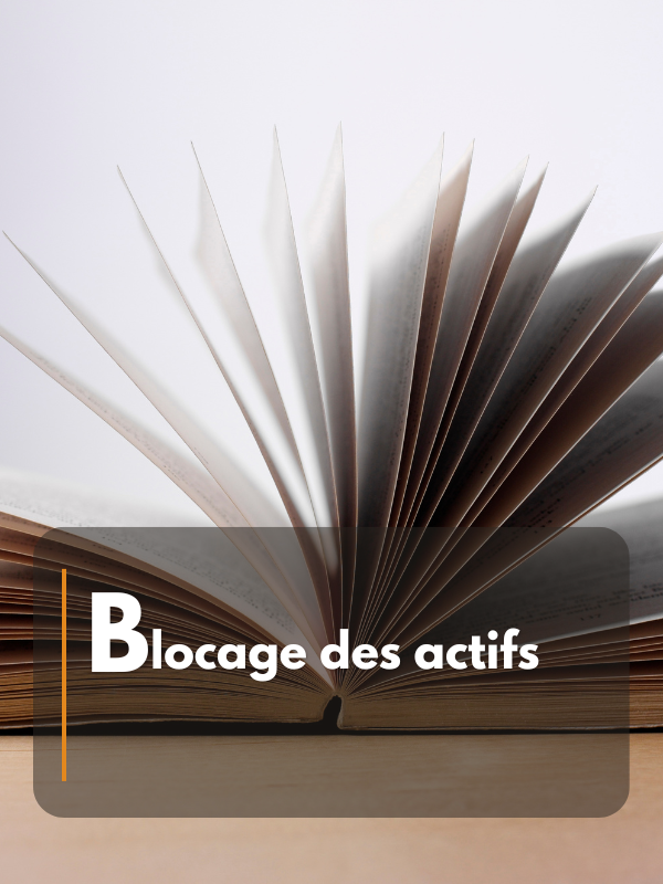 Blocage des actifs